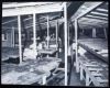 Documentazione fotografica della Limonaia di Boboli attrezzata a ospedale di dipinti su tavola