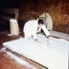 Documentazione fotografica del trattamento di rimozione della nafta dagli affreschi staccati