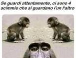 ironia